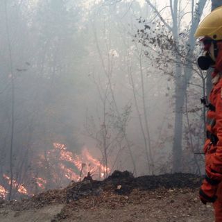Regione Lombardia, allarme sugli incendi boschivi