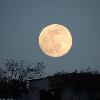 Spettacolo nel cielo di questa sera: arriva la Luna Piena del Castoro