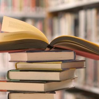 Vigevano: al via le iscrizioni per il concorso &quot;Librivoro 2024&quot;