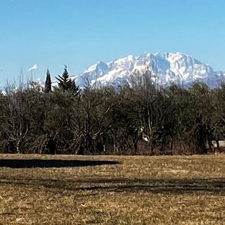 Prima il favonio, poi l'anticiclone: in arrivo 20 gradi e siccità record