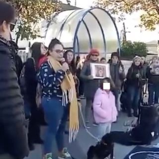 Un'immagine dalla pagina Facebook del Partito Animalista