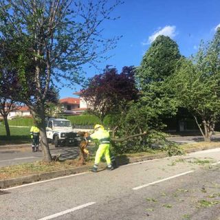 Allerta vento forte in Lombardia