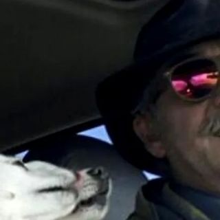Romania, trovato cadavere carbonizzato di imprenditore originario di Busto Garolfo