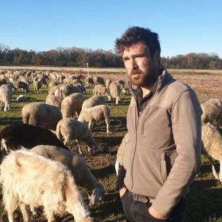 LA STORIA. Morgan e la sua vita da pastore, tra gli alpeggi e la pianura del Magentino: “Non cambierei il mio lavoro per niente al mondo”