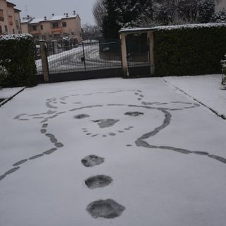 (Foto P.Valisa - Centro Geofisico Prealpino)