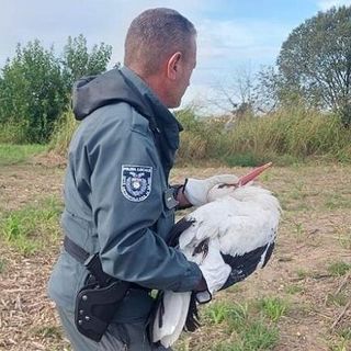 Nucleo Ittico Venatorio della Città metropolitana di Milano: 200 interventi, messo in salvo circa 150 animali
