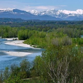 Insieme per pulire il Parco del Ticino