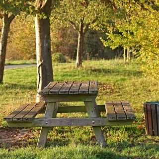 Niente pic nic di Pasqua: spostamenti solo a casa di amici o parenti una volta al giorno e in due persone