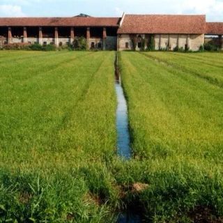 Parco Agricolo Sud Milano: accesso vietato alle aree naturalistiche in caso di allerte meteo