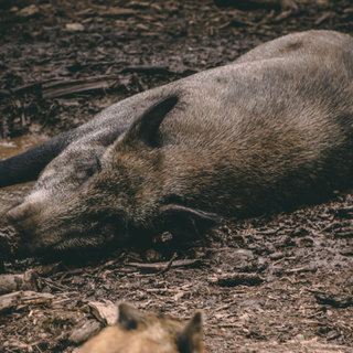 Photo by Jonathan Kemper on Unsplash
