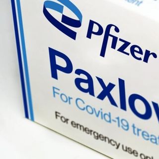 Arriva in Europa (e in Italia) la pillola anti Covid di Pfizer