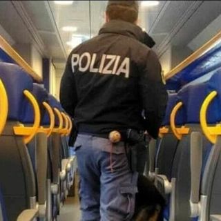 Milano, violenza sessuale su treno: arrestato un 36enne