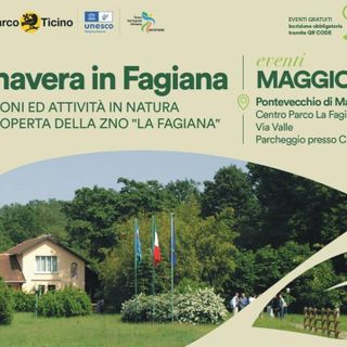 Primavera nel bosco: un’escursione nella natura del Parco del Ticino, domenica 18