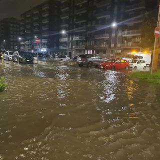 Il Seveso durante un'esondazione