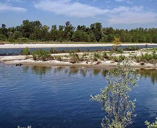 Oleggio, bagnante rischia annegamento nel Ticino. Il Codacons: ecco le dieci regole da rispettare