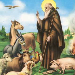 Trecate: domenica si festeggia la ricorrenza di Sant’Antonio Abate
