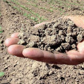 Un anno di siccità: pianura lombarda a secco, laghi al 27%, più colpite Milano e provincia di Pavia