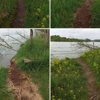 Sponde del Ticino erose tra la Fagiana e Boffalora: attenzione