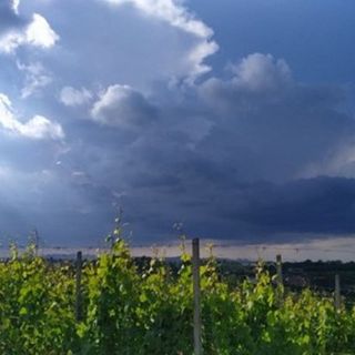 CHE TEMPO FARÀ. Il sole di questa mattina non durerà a lungo. Domenica di nuvole con il rischio di rovesci