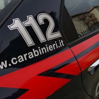 Controlli sui fitofarmaci: cinque aziende agricole novaresi multate per pesticidi non regolari