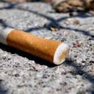 Vigevano: la classe 4A dell'istituto Caramuel-Roncalli a &quot;caccia&quot; di mozziconi per le strade della città