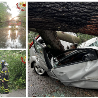 Il maltempo presenta il conto: nel Varesotto 230 interventi di soccorso. Centinaia di alberi caduti e 20 persone soccorse