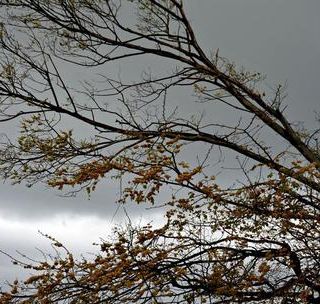 Da domenica torna l’aria fredda, colpo di coda dell’inverno