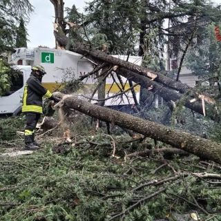 Milano, albero si abbatte su bus per turisti in pieno centro