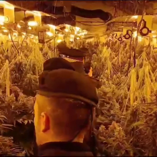 Cozzo: allaccio abusivo alla rete elettrica per coltivare cannabis in un cascinale, arrestate due persone. Le immagini