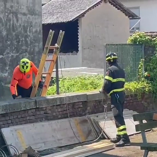 (Video di Adnkronos)