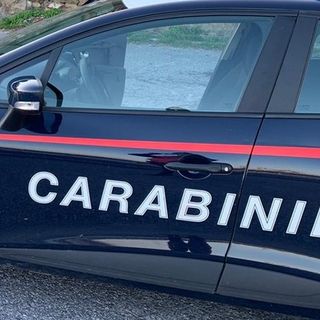 Vigevano: forzano una porta per rubare generi alimentari e tre bottiglie di alcolici nel bar della piscina