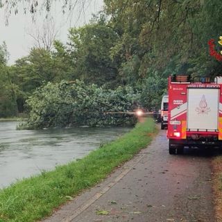 Tragedia a Robecchetto con Induno: albero crolla per il maltempo e uccide una donna
