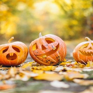 (foto tratta da Pixabay)