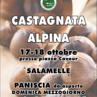 Trecate: nel fine settimana la Castagnata con gli Alpini