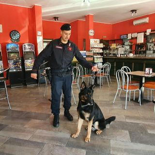 Pavese: controlli effettuati con i cani antidroga, segnalate otto persone