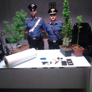 Sannazzaro de' Burgondi: arrestata coppia di spacciatori con oltre mezzo chilo di hashish, piante di marjuana e una pistola