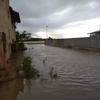 Maltempo, alluvione Sesia: cascine e risaie sommerse in Lomellina