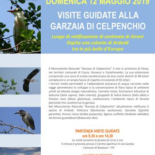 - FOTOEVENTO - a Rosasco domenica 12 maggio, visite guidate alla Garzaia di Celpenchio