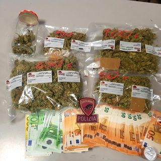 Pavia: trovato in possesso di circa mezzo chilo di marijuana, in manette uno studente 25enne