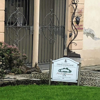 Bambi... in Enoteca: la foto del giorno