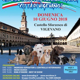 Vigevano: Tutto pronto al Castello Sforzesco per l'esposizione nazionale canina