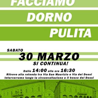 I volontari di “Facciamo Dorno pulita” sono ormai una realtà