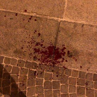 foto tratte dalla pagina Facebook di Matteo Ornati