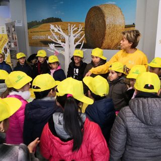 Giornata alberi, più foreste in Lombardia: un quarto del territorio coperto da boschi