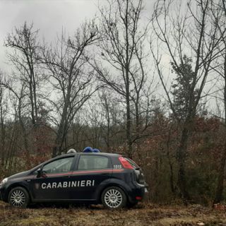 Oltrepò: esegue lavori in un bosco senza rispettare le tecniche forestali, scatta una maxi multa da 120mila euro