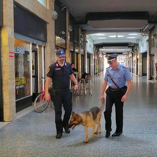 Pavese: sicurezza sui luoghi di lavoro, multati due saloni di parrucchieri per 28mila euro