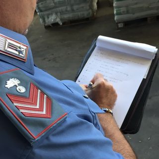 Voghera: sequestrato un allevamento con dromedari e tucani, scattano due denunce