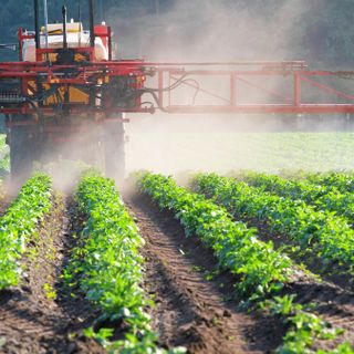 Glifosato: Coldiretti, in Italia resta divieto, stop import