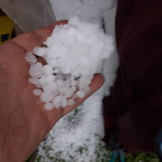 Gli effetti della grandine a Torre Beretti