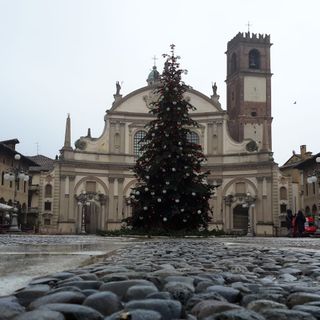 - (FOTOGALLERY) - Vigevano, nel pomeriggio l’installazione dell'albero di Natale in Piazza Ducale